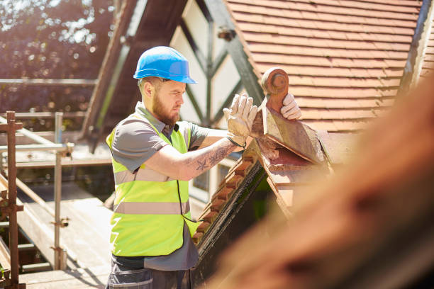 Best Roof Gutter Cleaning  in Hoopers Creek, NC